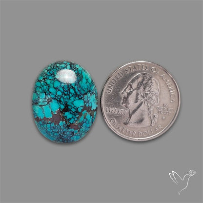 Selected Hubei Turquoise Cabochon
