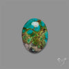 Selected Hubei Turquoise Cabochon