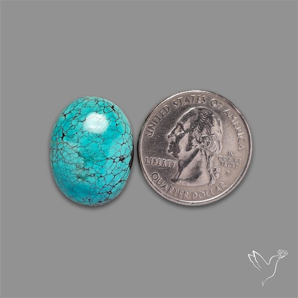 Selected Hubei Turquoise Cabochon