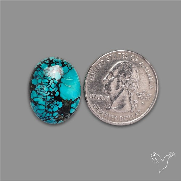 Selected Hubei Turquoise Cabochon