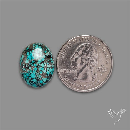 Selected Hubei Turquoise Cabochon