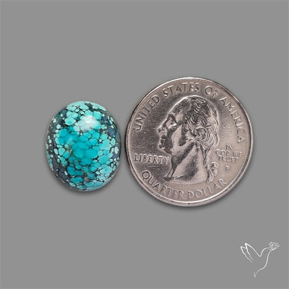 Selected Hubei Turquoise Cabochon