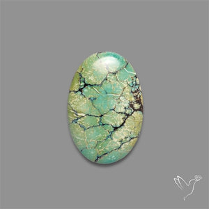 Selected Hubei Turquoise Cabochon
