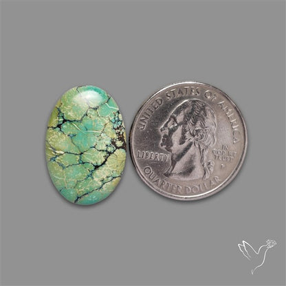 Selected Hubei Turquoise Cabochon