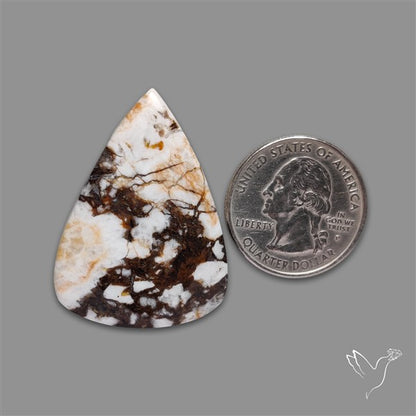 Wild Horse Magnesite Cabochon