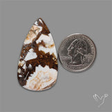 Wild Horse Magnesite Cabochon