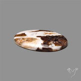 Wild Horse Magnesite Cabochon