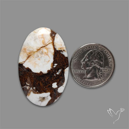 Wild Horse Magnesite Cabochon