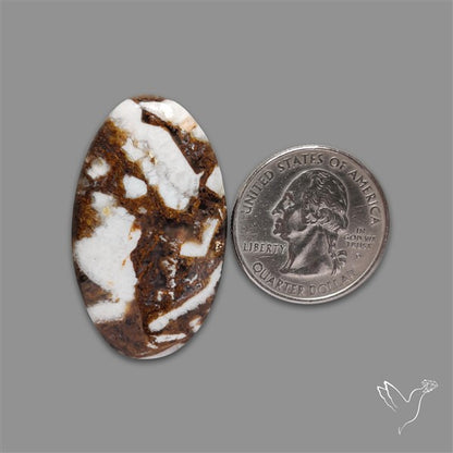 Wild Horse Magnesite Cabochon