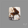Wild Horse Magnesite Cabochon