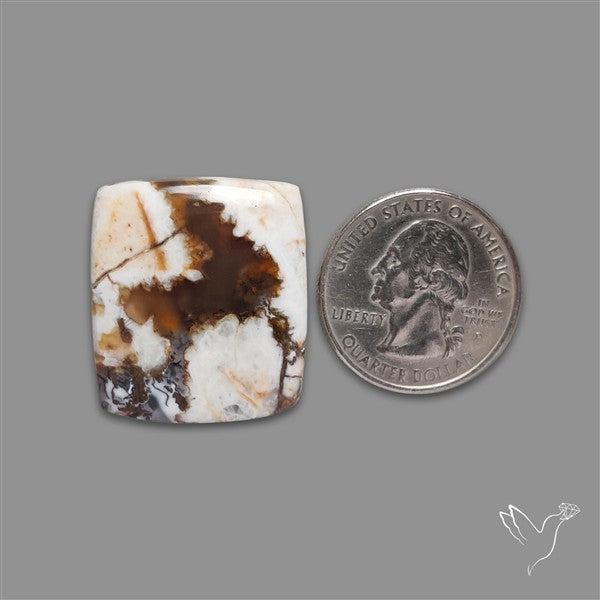 Wild Horse Magnesite Cabochon