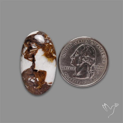 Wild Horse Magnesite Cabochon