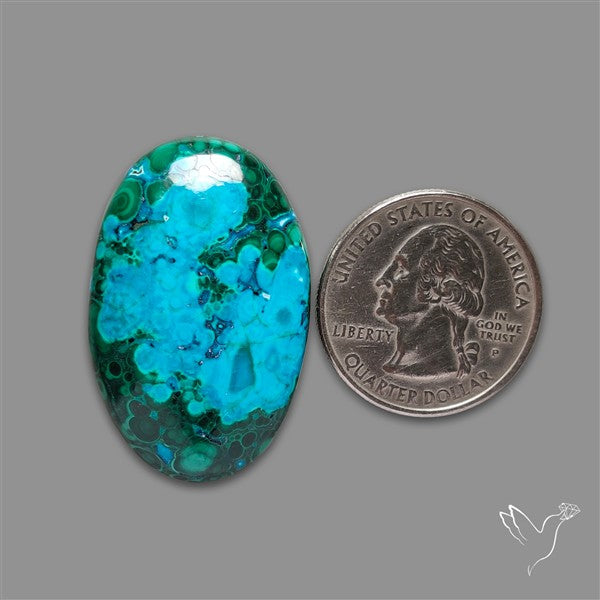 Chrysocolla In Malachite Cabochon