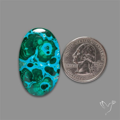 Chrysocolla In Malachite Cabochon
