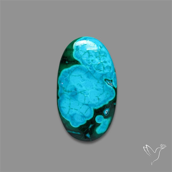 Chrysocolla In Malachite Cabochon