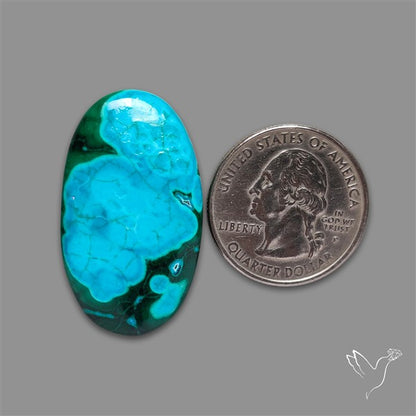 Chrysocolla In Malachite Cabochon