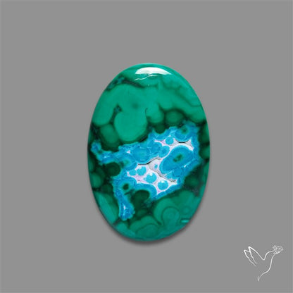 Chrysocolla In Malachite Cabochon