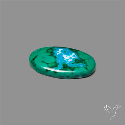 Chrysocolla In Malachite Cabochon