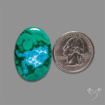 Chrysocolla In Malachite Cabochon