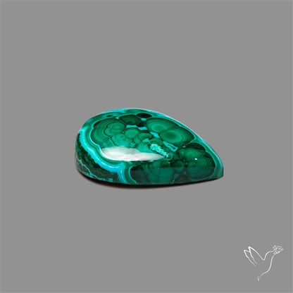 Chrysocolla In Malachite Cabochon