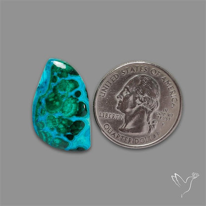 Chrysocolla In Malachite Cabochon
