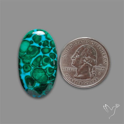 Chrysocolla In Malachite Cabochon