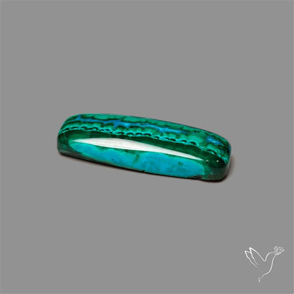 Chrysocolla In Malachite Cabochon