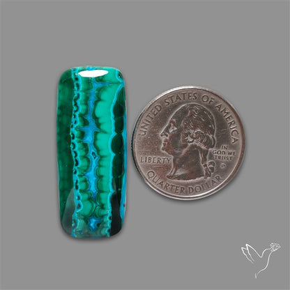 Chrysocolla In Malachite Cabochon