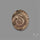 Rare Pyritized Ammonite Negative Fossil
