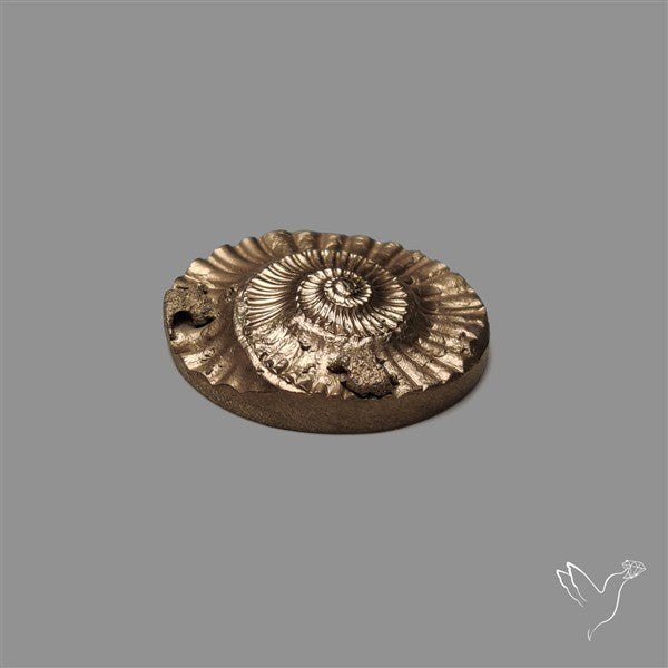 Rare Pyritized Ammonite Negative Fossil