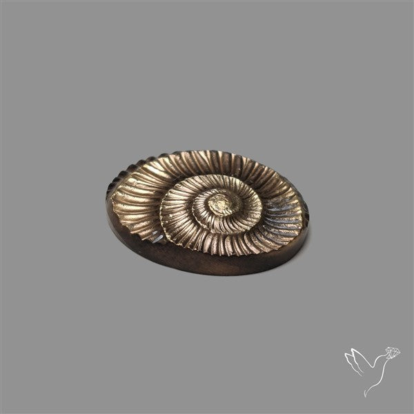 Rare Pyritized Ammonite Negative Fossil