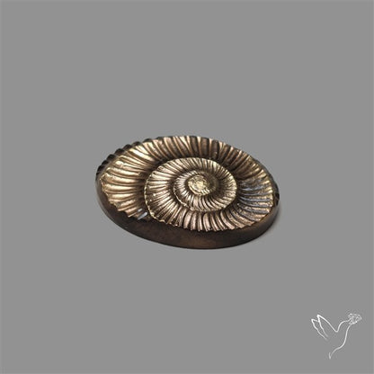 Rare Pyritized Ammonite Negative Fossil