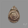 Rare Pyritized Ammonite Negative Fossil