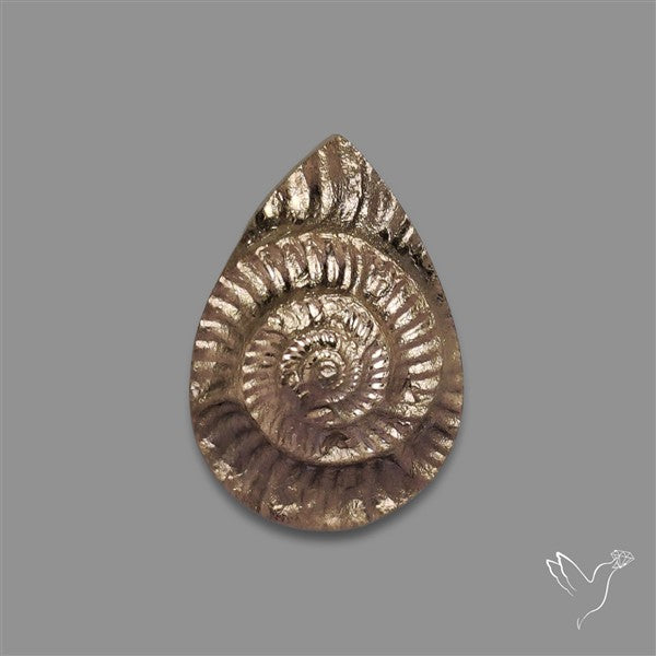 Rare Pyritized Ammonite Negative Fossil