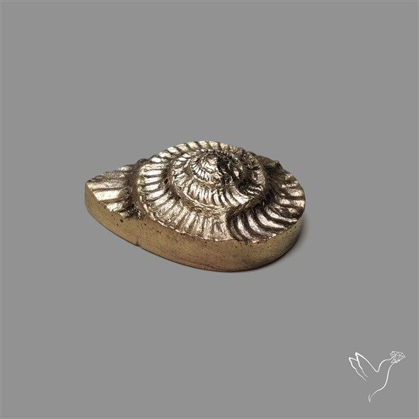 Rare Pyritized Ammonite Negative Fossil