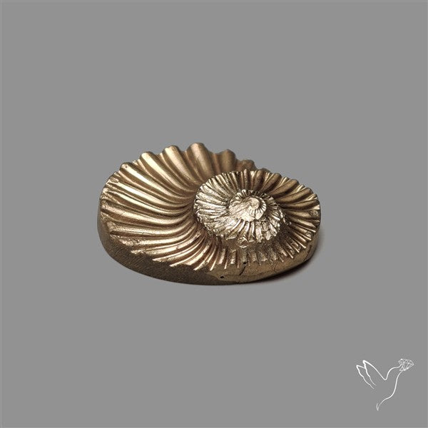 Rare Pyritized Ammonite Negative Fossil