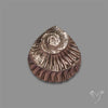 Rare Pyritized Ammonite Negative Fossil