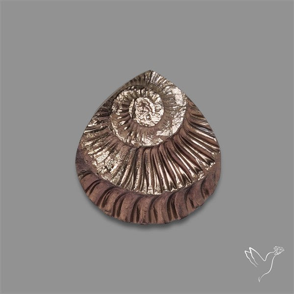 Rare Pyritized Ammonite Negative Fossil