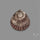 Rare Pyritized Ammonite Negative Fossil