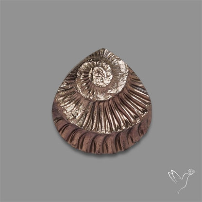 Rare Pyritized Ammonite Negative Fossil