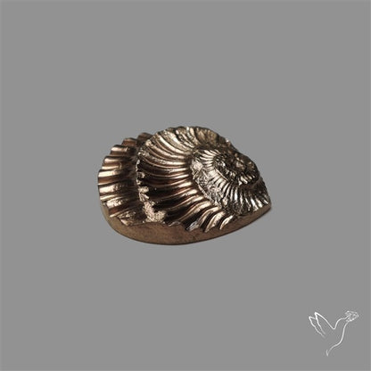 Rare Pyritized Ammonite Negative Fossil