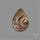 Rare Pyritized Ammonite Negative Fossil