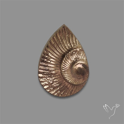 Rare Pyritized Ammonite Negative Fossil