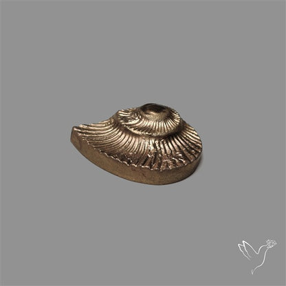 Rare Pyritized Ammonite Negative Fossil