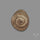 Rare Pyritized Ammonite Negative Fossil