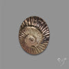 Rare Pyritized Ammonite Negative Fossil