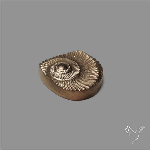 Rare Pyritized Ammonite Negative Fossil