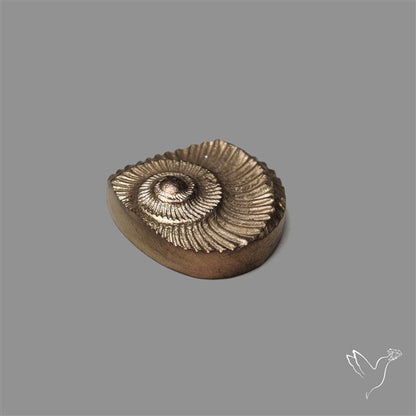 Rare Pyritized Ammonite Negative Fossil