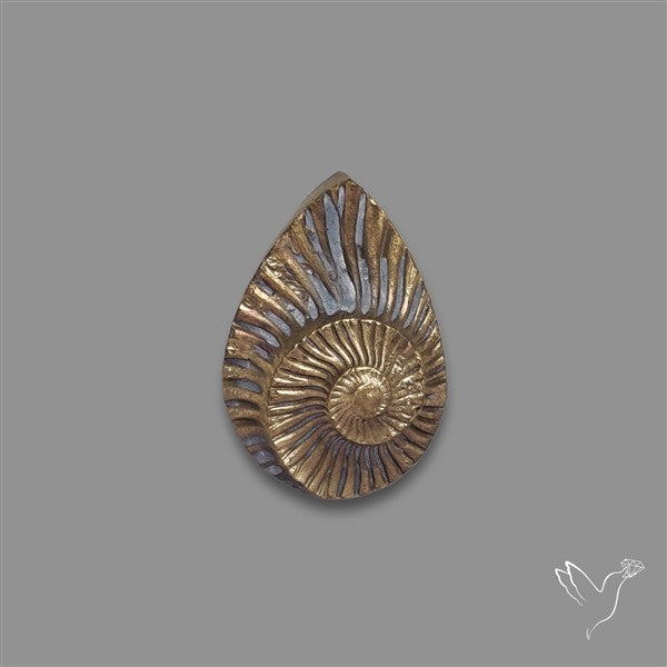 Rare Pyritized Ammonite Negative Fossil
