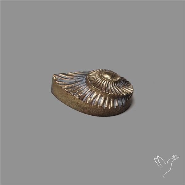 Rare Pyritized Ammonite Negative Fossil